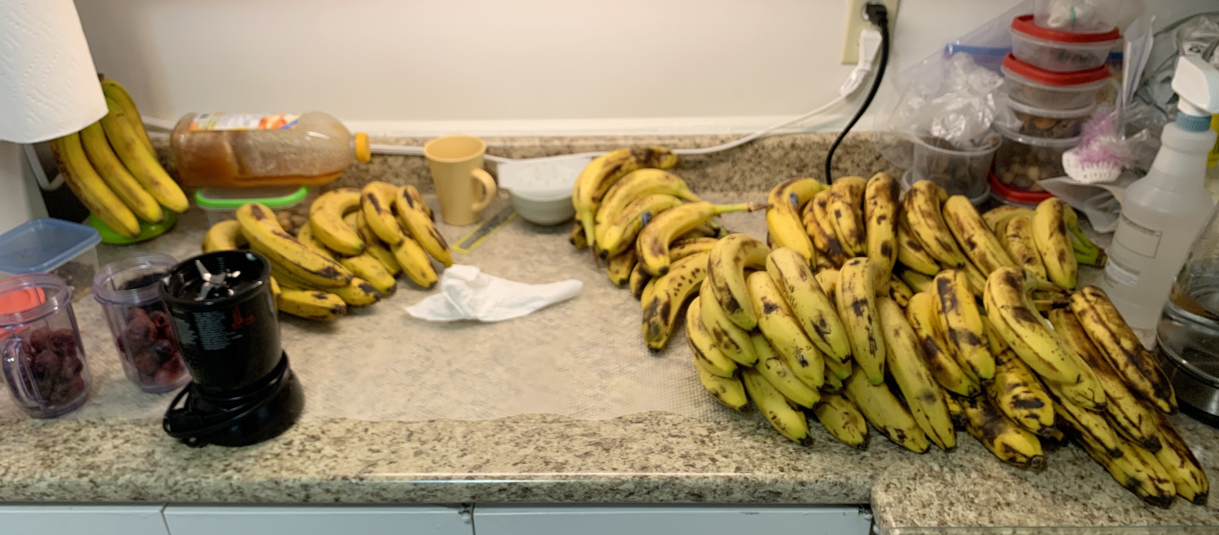 We bought bananas in bulk